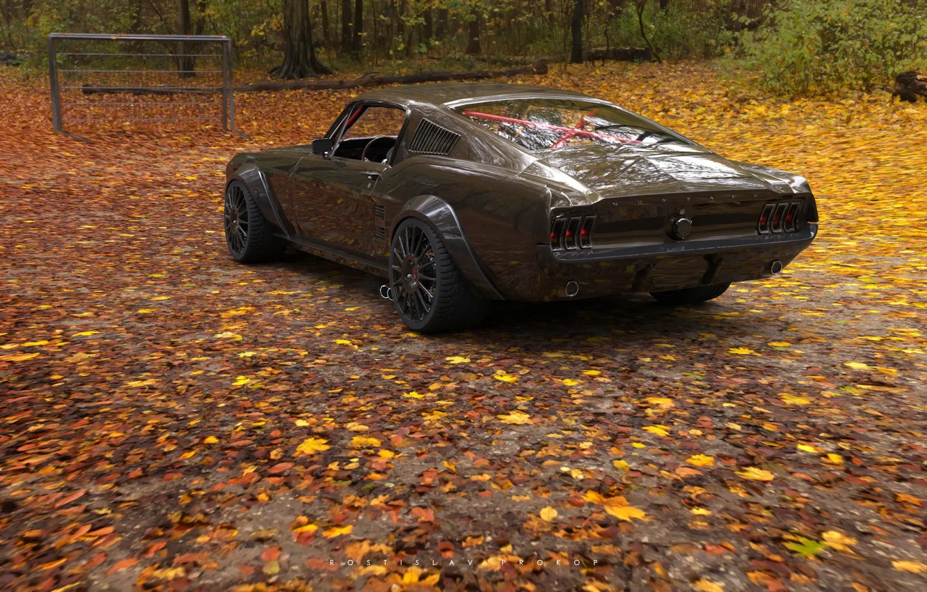 Фото обои купе, США, Ford Mustang, Muscle car, Rostislav Prokop, культовый автомобиль класса Pony Car