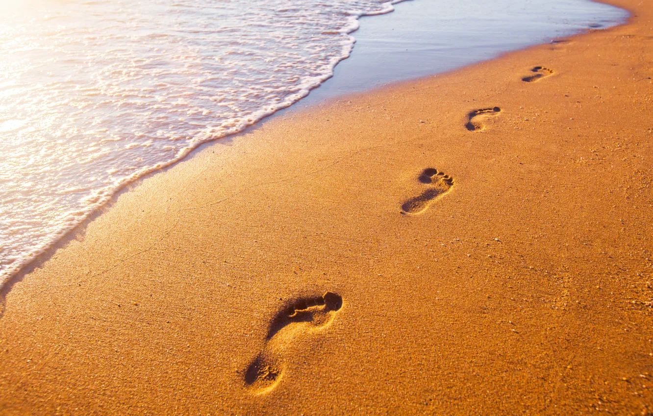 Фото обои песок, море, пляж, следы, берег, beach, sea, seascape