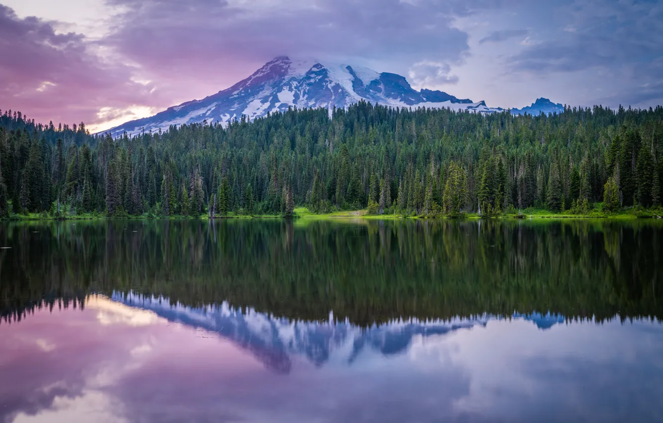 Фото обои лес, горы, отражение, водоем