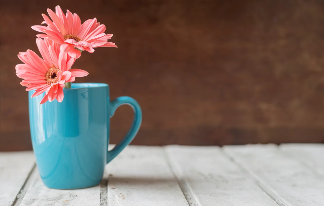 Фото обои цветы, кружка, wood, pink, flowers, хризантема, mug