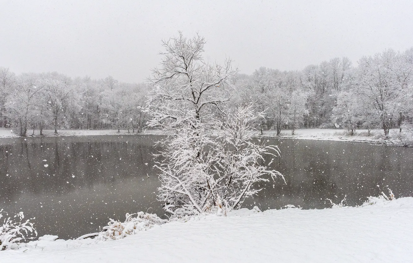 Фото обои winter, lake, snow, woodland, snowing