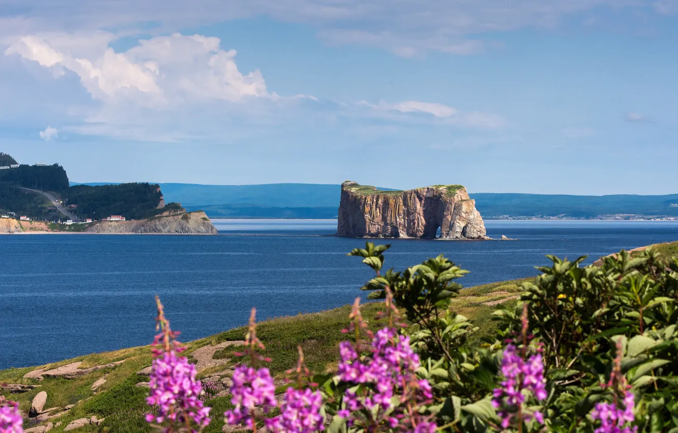 Фото обои море, цветы, скала, Канада, Национальный парк, Иль-Бонавантюр-Э-дю-Роше-Персе