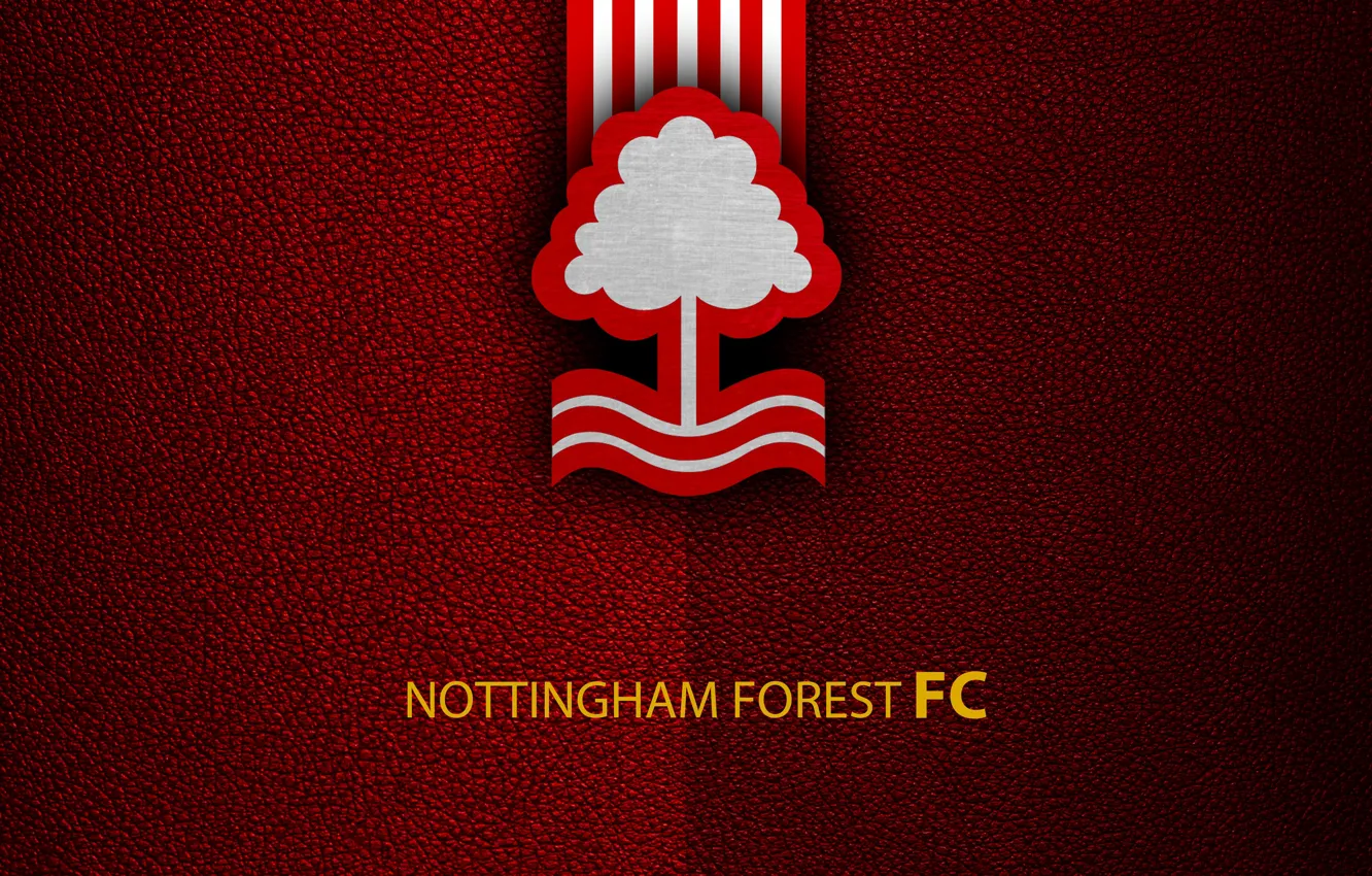 Фото обои wallpaper, sport, logo, football, English Premier League, Nottingham Forest