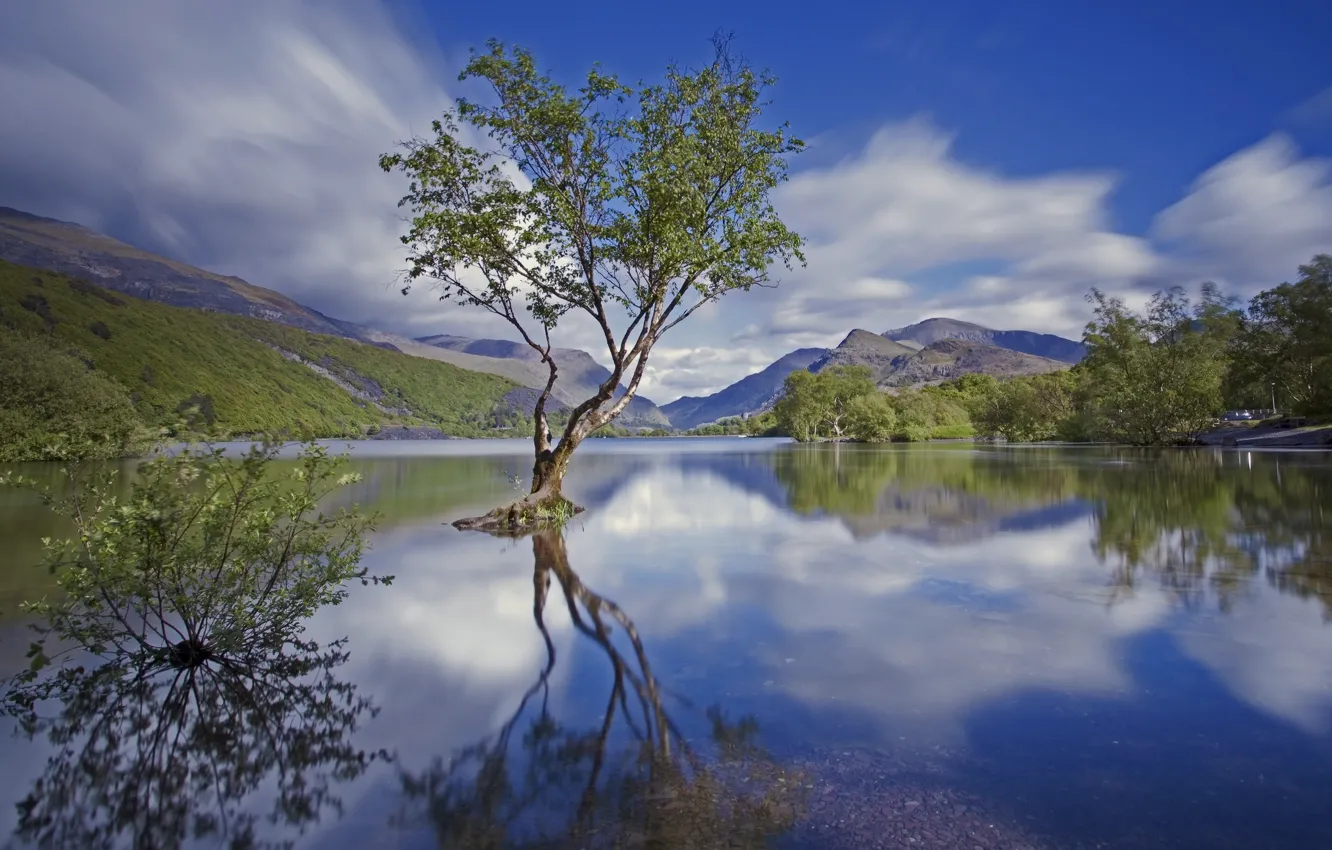 Фото обои горы, озеро, дерево, Англия, национальный парк, Сноудония, Северный Уэльс