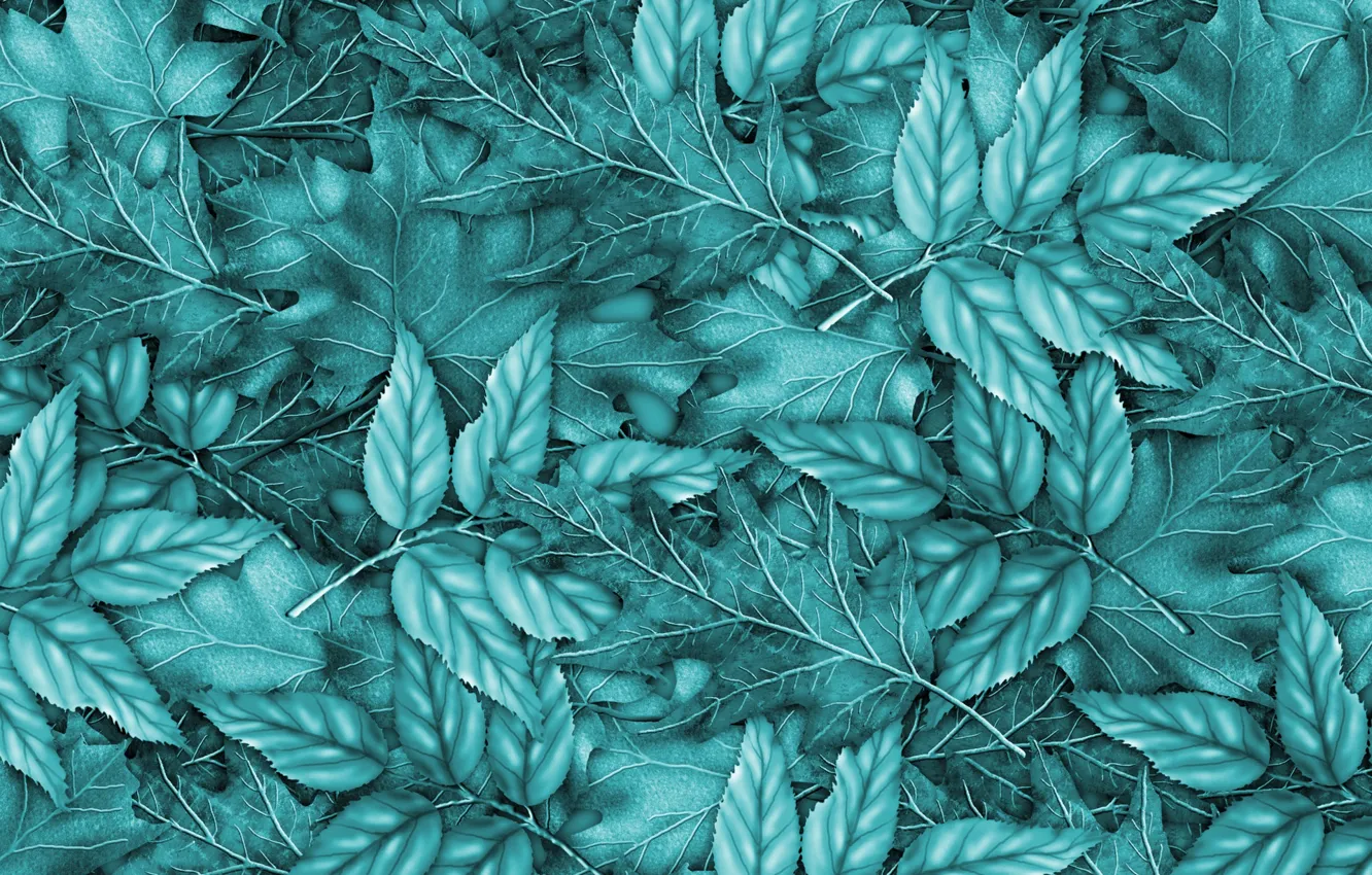 Фото обои листья, фон, blue, background