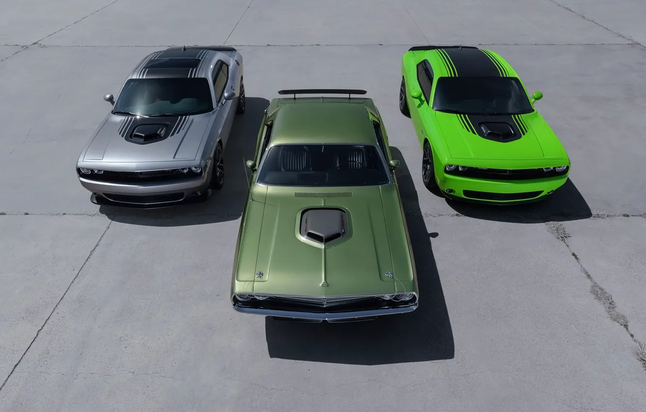 Фото обои Dodge, Challenger, Dodge Challenger, Trio, Dodge cars, Challenger trio