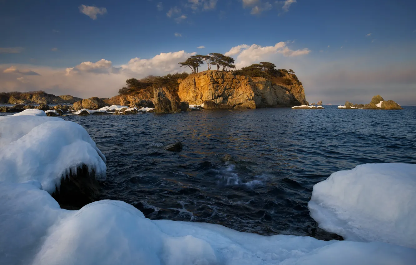 Фото обои море, снег, деревья, пейзаж, природа, скалы