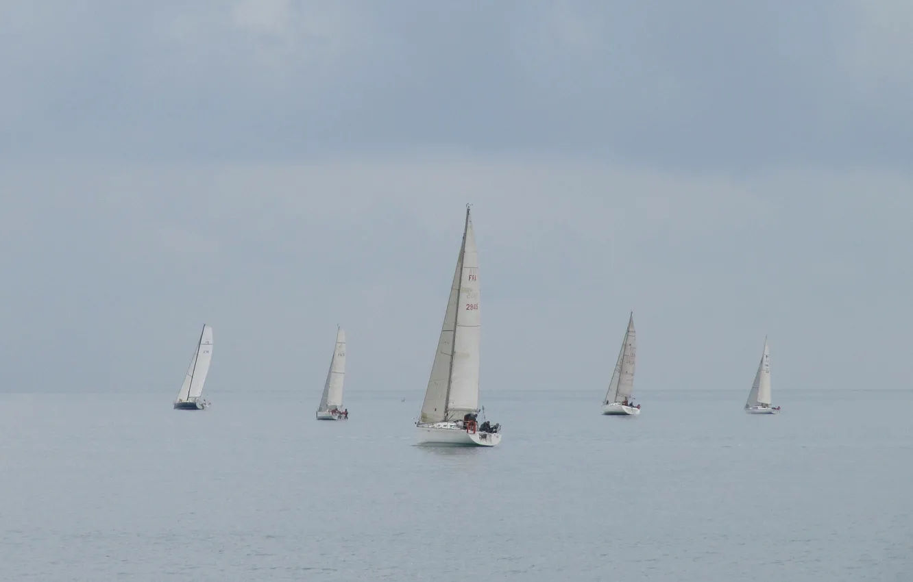 Фото обои море, Франция, яхта, регата, парусный спорт, Кань-сюр-Мер