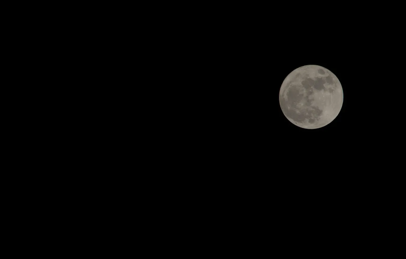 Фото обои moon, night, full moon, supermoon