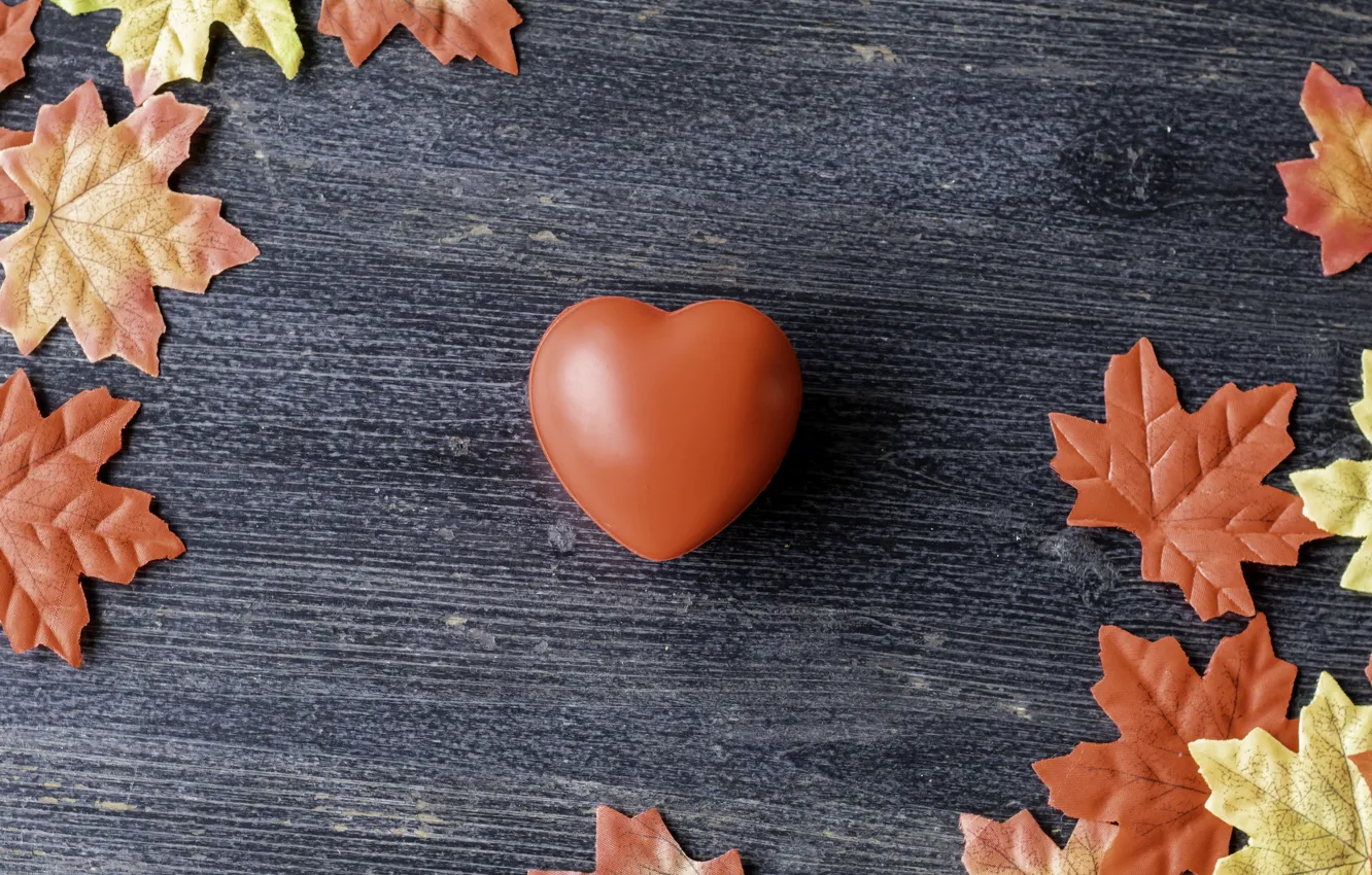 Фото обои осень, листья, любовь, фон, сердце, colorful, love, heart