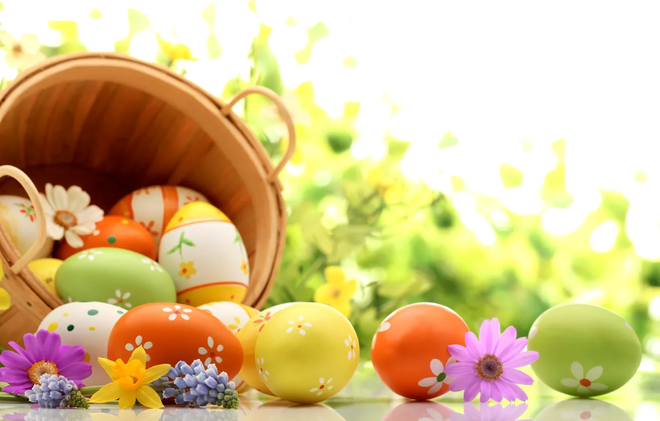 Фото обои цветы, праздник, корзина, яйца, весна, Пасха, лаванда, нарциссы