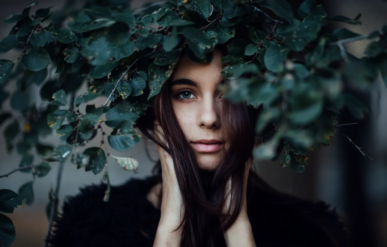 Фото обои листья, Ashley, прелесть, венок, Jesse Herzog