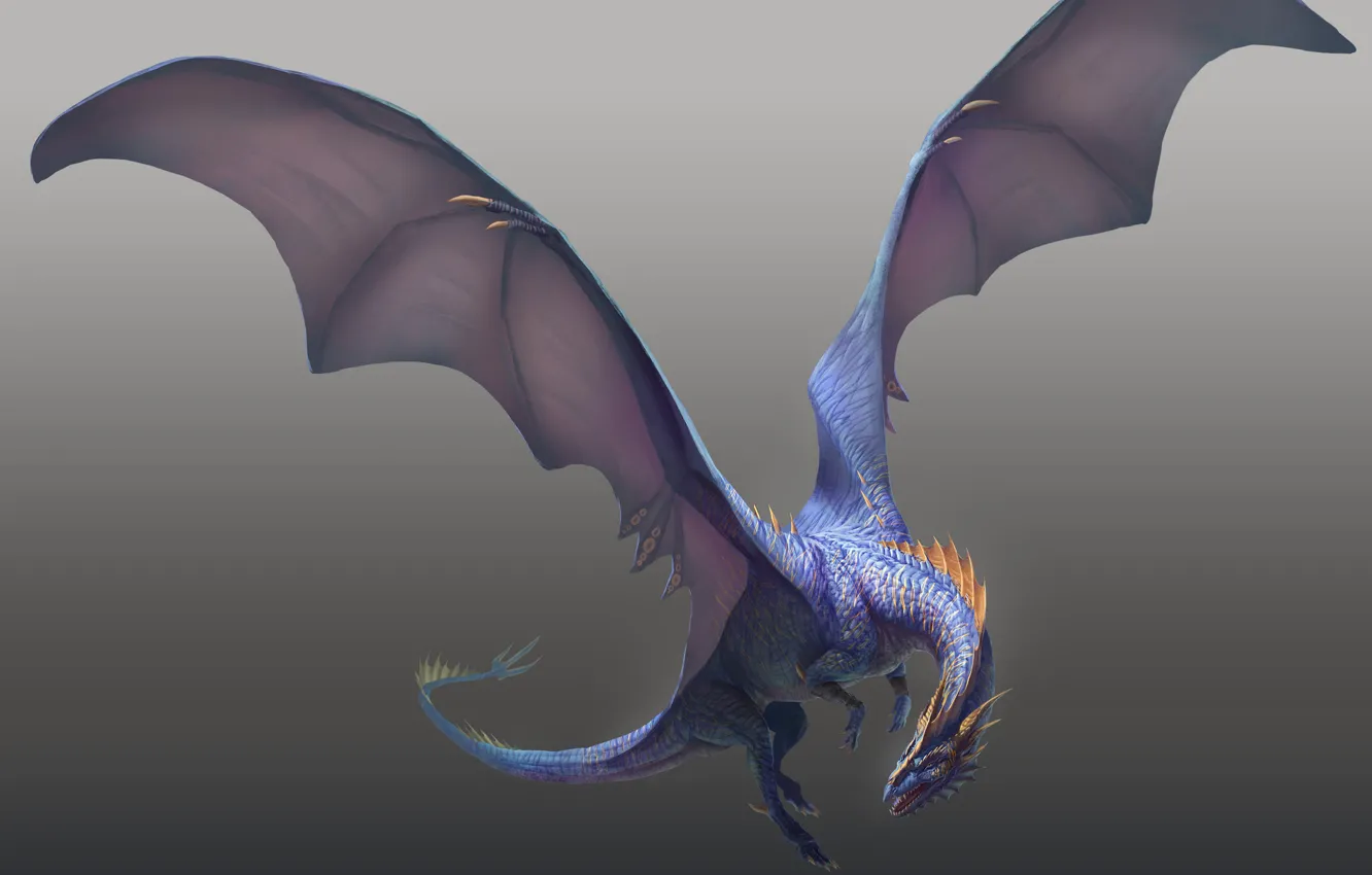 Фото обои синий, дракон, крылья, когти, полёт, серый фон