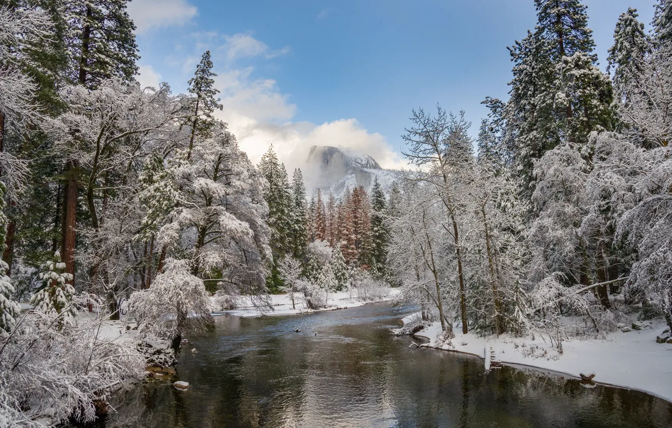 Фото обои зима, лес, снег, пейзаж, природа, река, красота