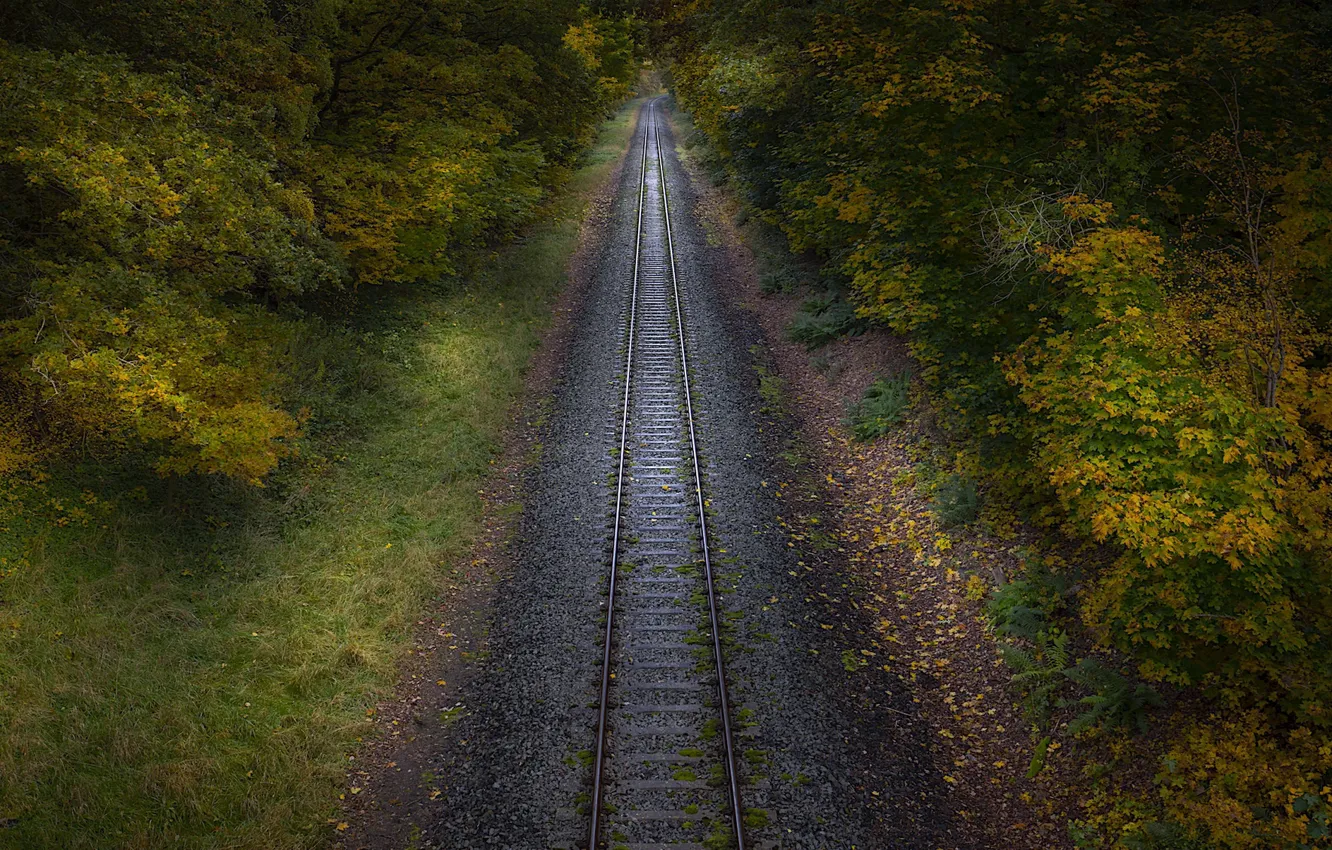 Фото обои осень, природа, железная дорога