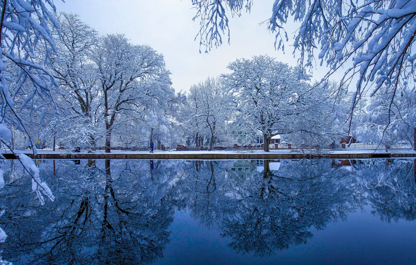 Фото обои зима, иней, снег, деревья, ветки, пруд, парк, отражение