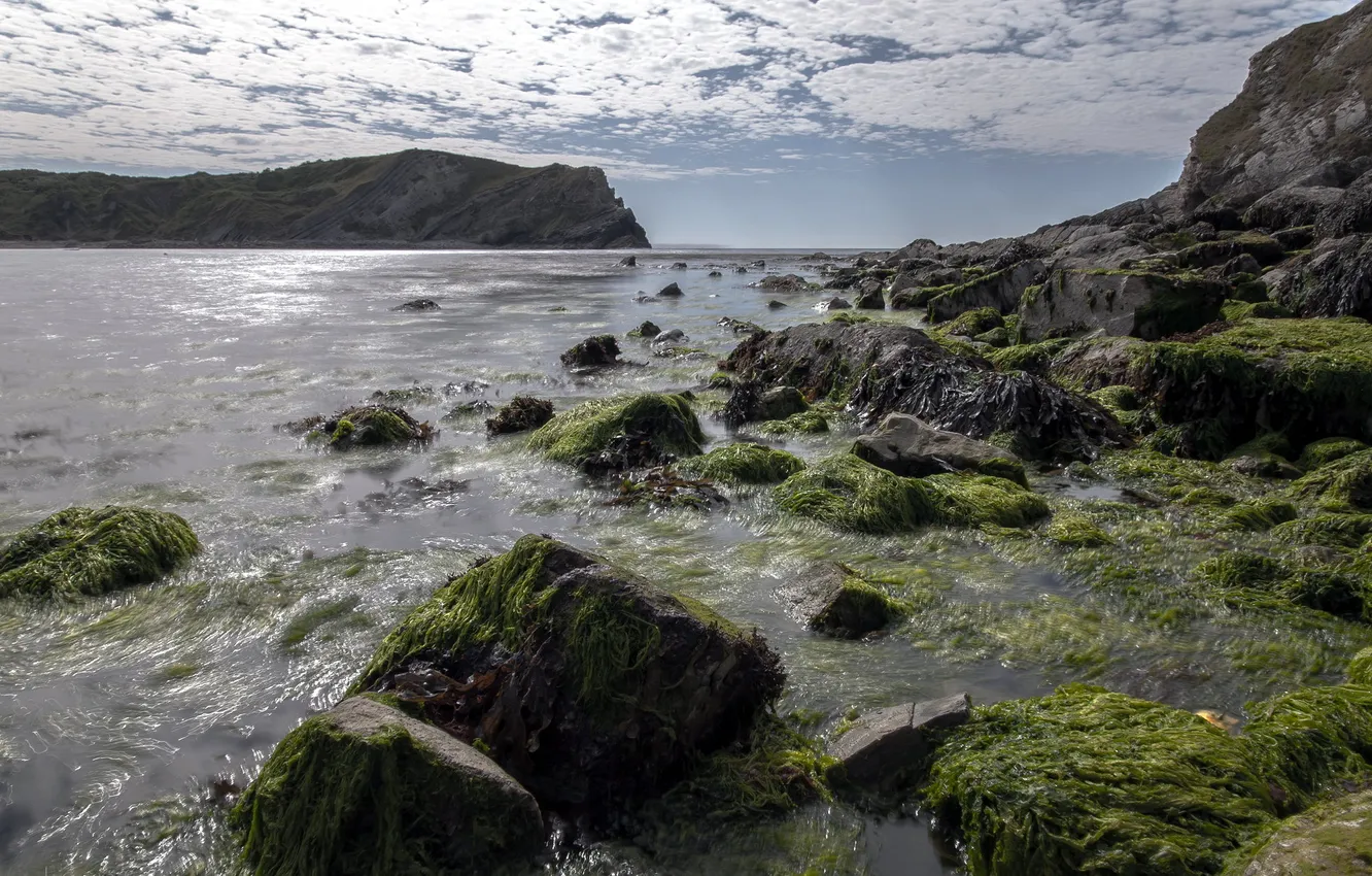 Фото обои море, берег, вечер