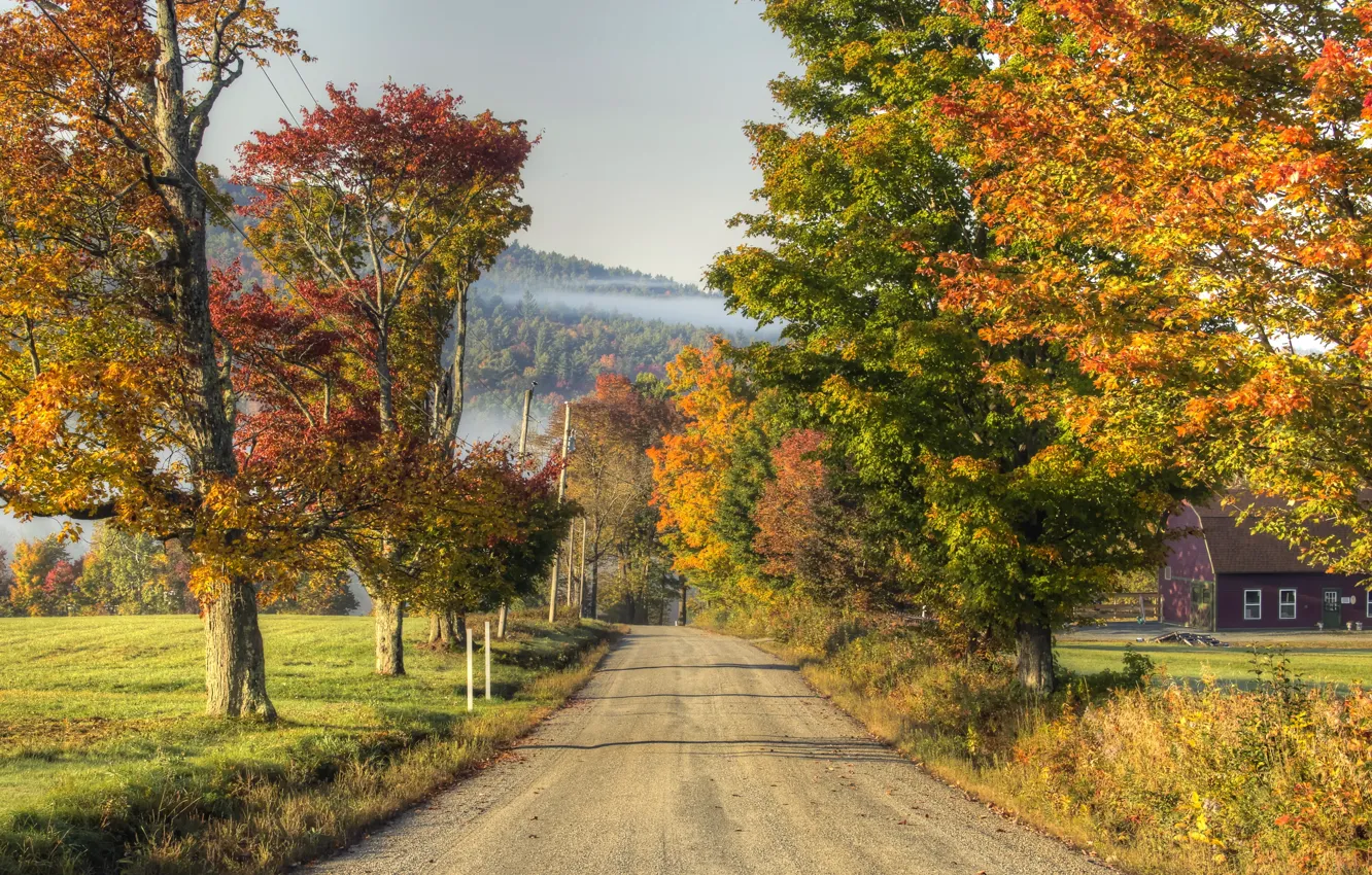 Фото обои дорога, осень, деревья, природа
