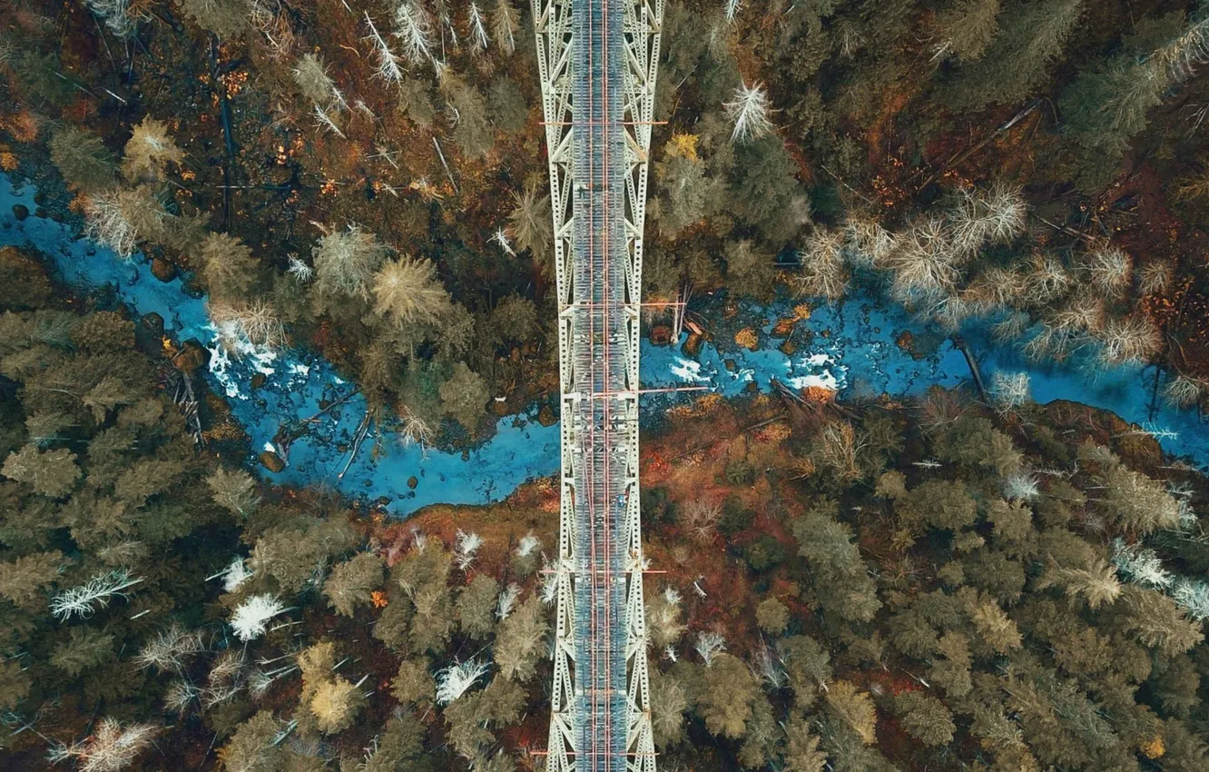 Фото обои лес, деревья, пейзаж, мост, природа, река, растения, вид сверху