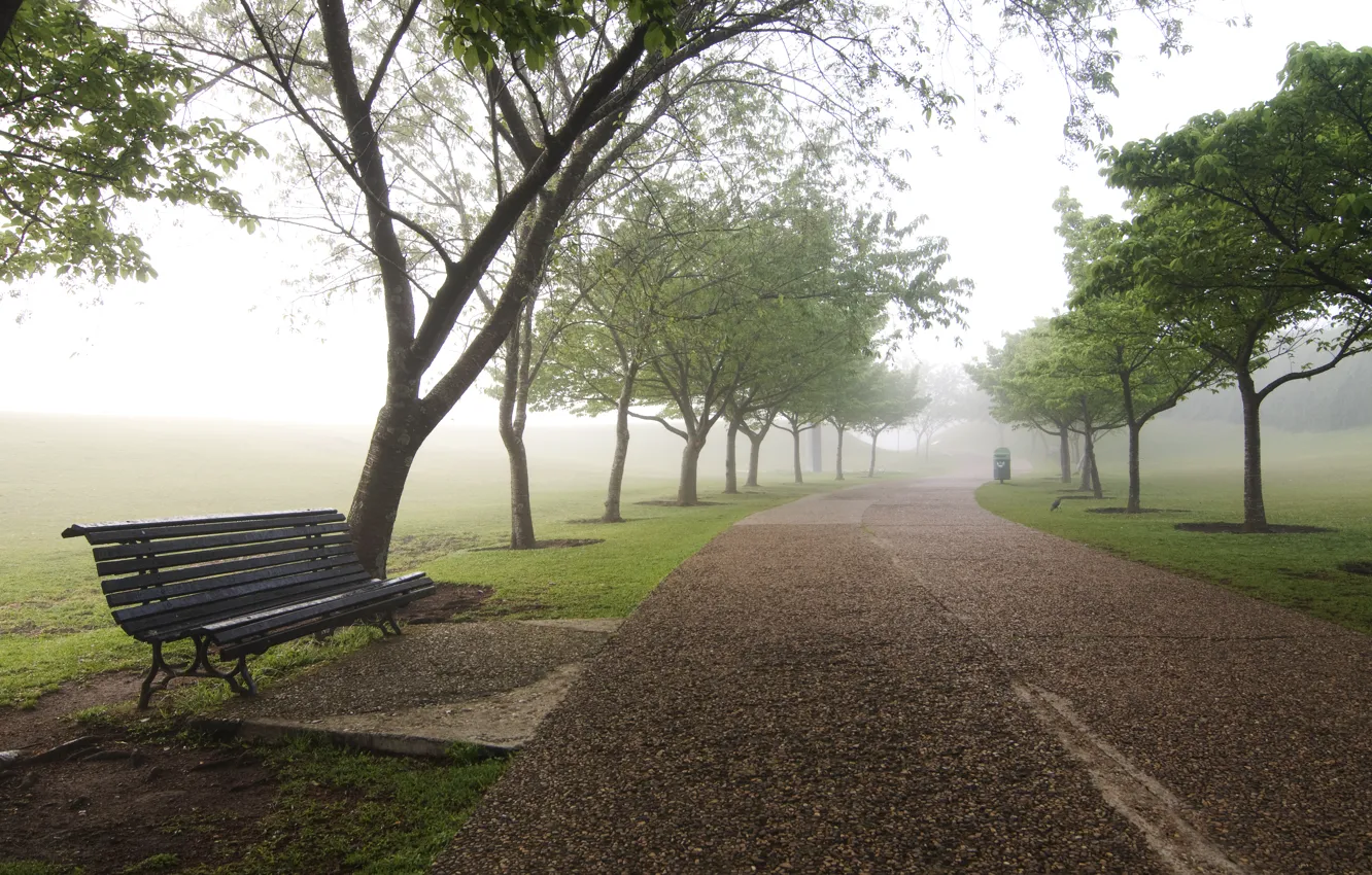 Фото обои Fog, Trees, Bench, Dump, Jogging Track