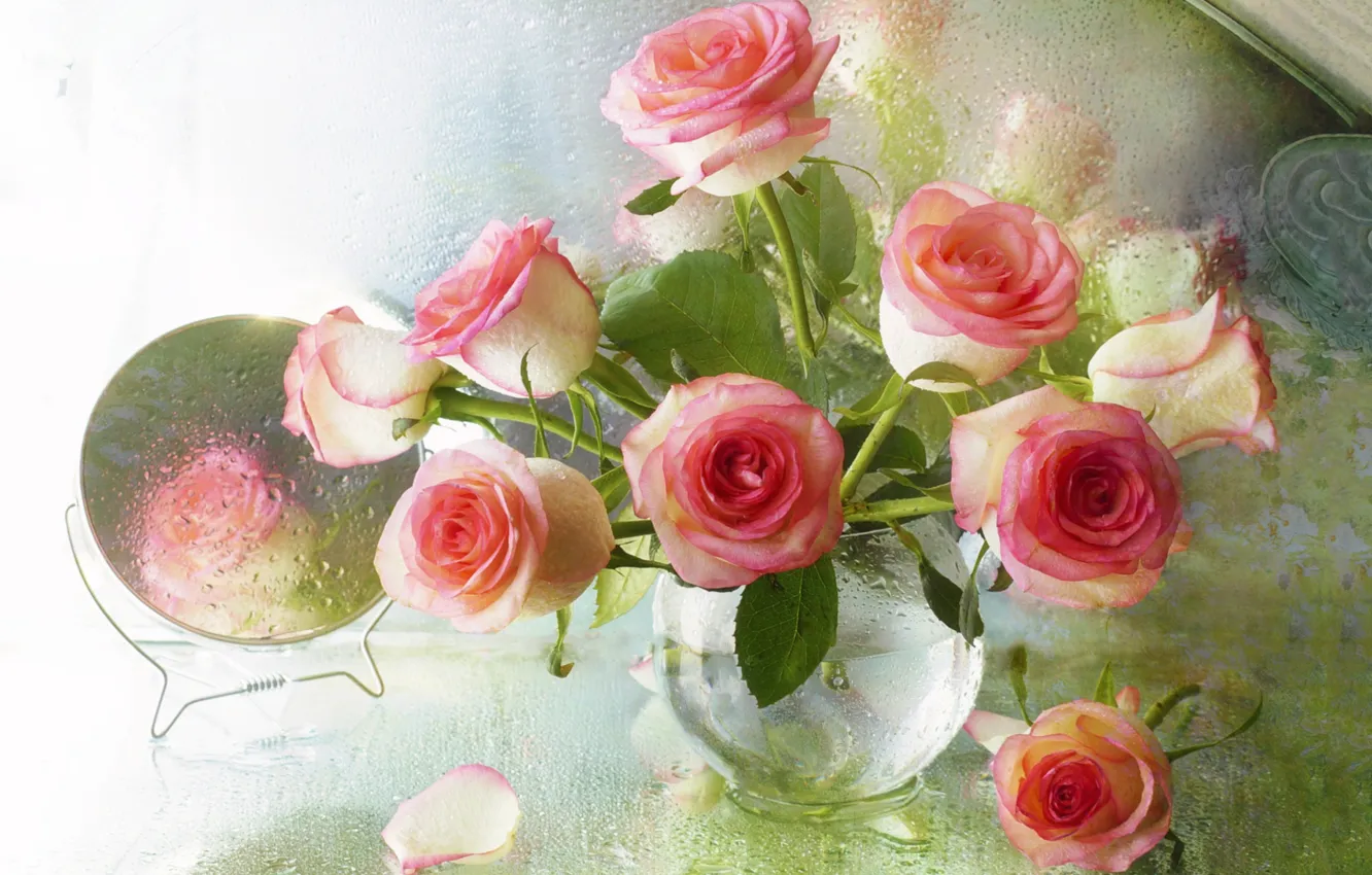 Фото обои капли, розы, зеркало, ваза