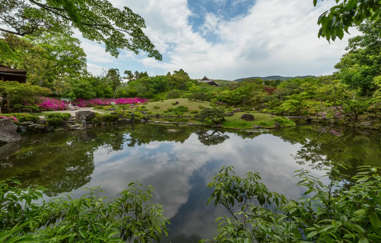 Фото обои деревья, пейзаж, природа, город, пруд, парк, Япония, Нара