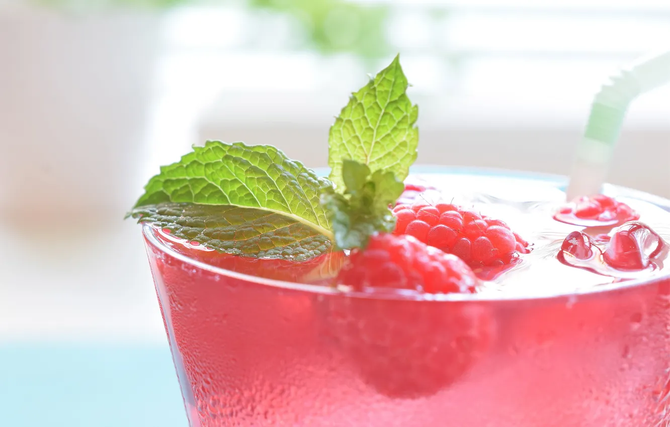 Фото обои Color, Raspberry, Drink, Mint, Food, Cocktail, Cranberry