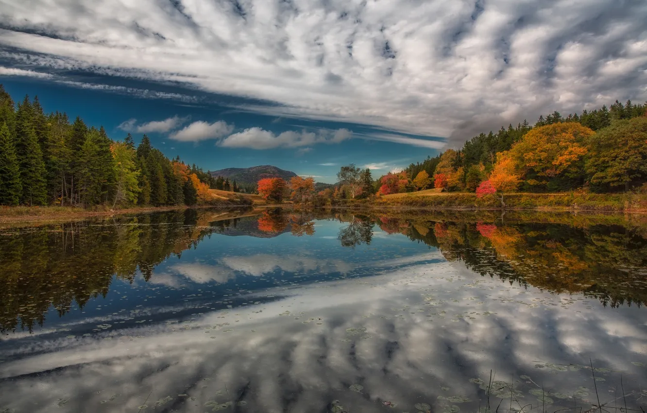 Фото обои осень, лес, озеро, отражение, река
