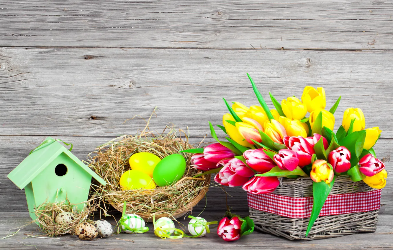 Фото обои цветы, яйца, весна, colorful, пасха, тюльпаны, flowers, tulips