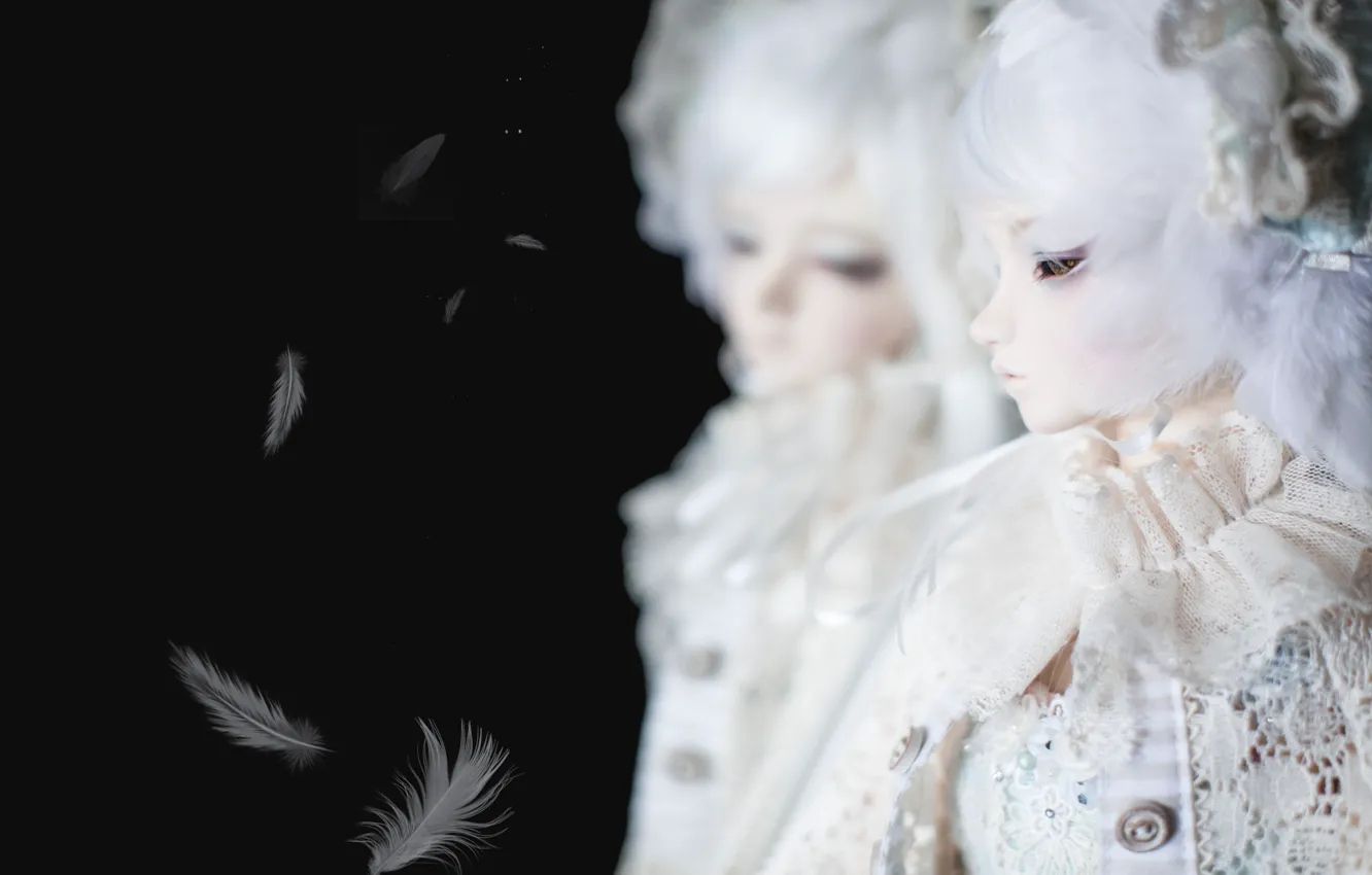 Фото обои отражение, кукла, перья, черный фон, белые волосы, doll, BJD
