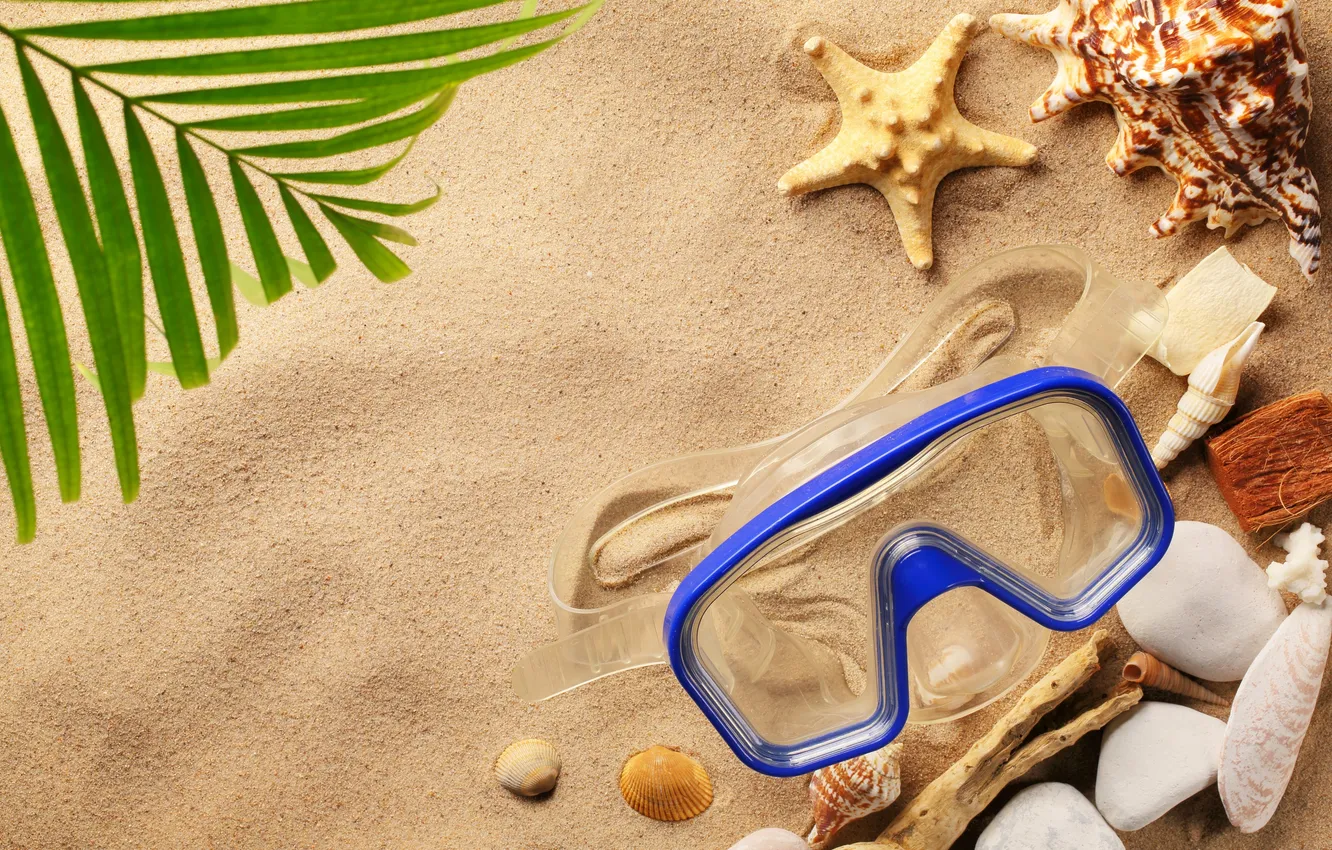 Фото обои песок, пляж, лето, ракушки, seashells