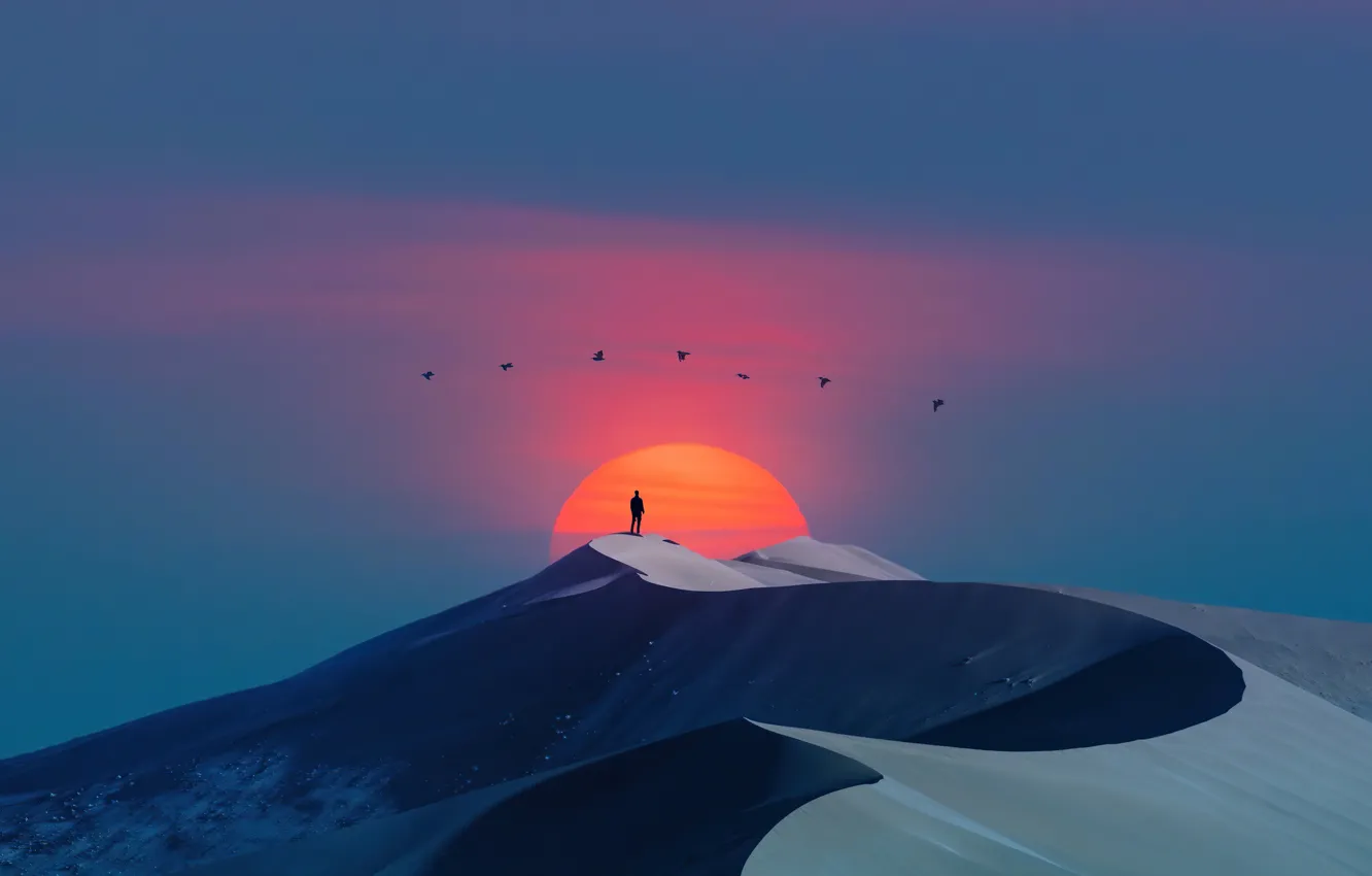 Фото обои clear sky, desert, birds, sun, men, digital art, artwork, dunes
