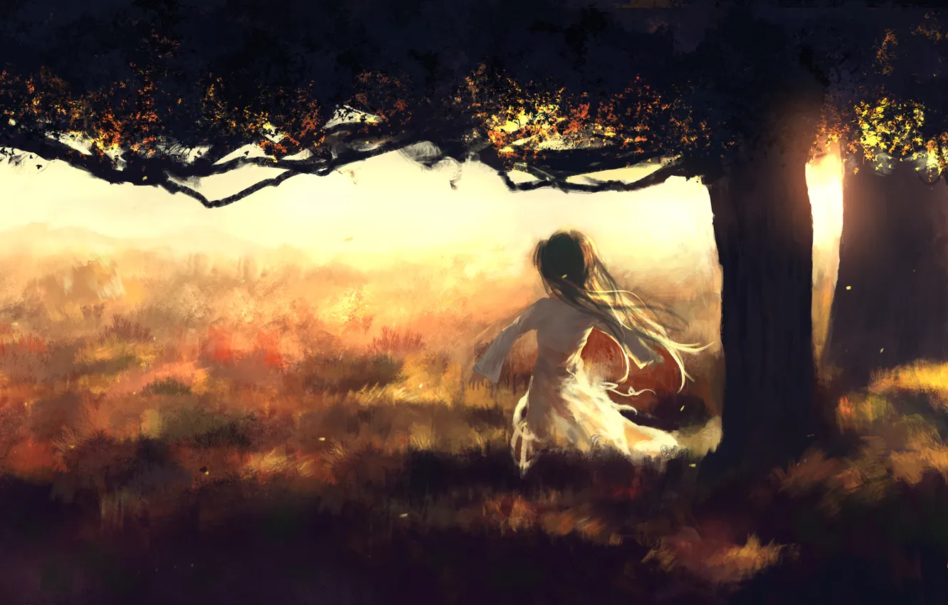 Фото обои девушка, закат, природа, дерево, аниме, арт, sombernight