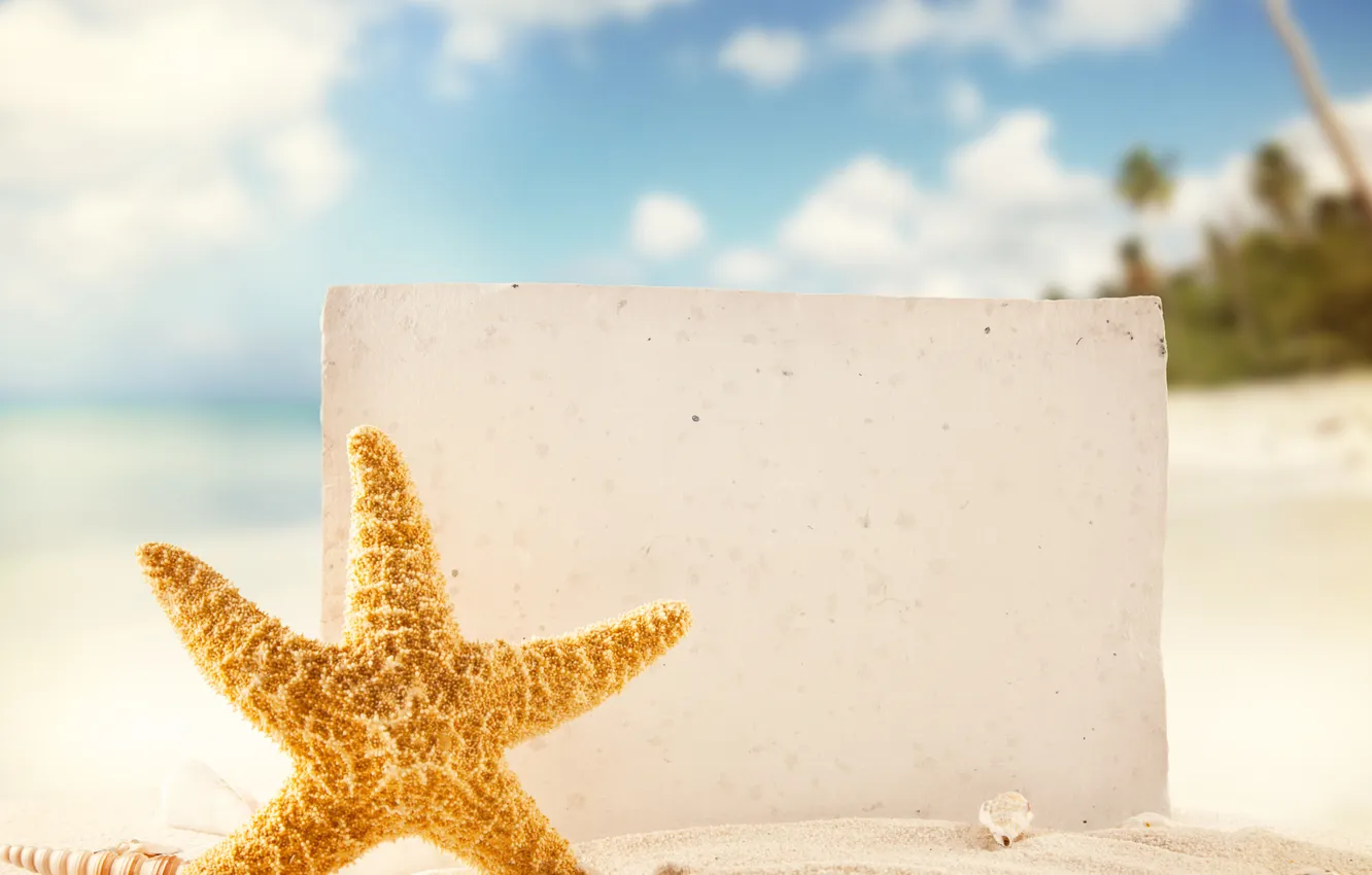 Фото обои песок, море, пляж, тропики, ракушки, морская звезда