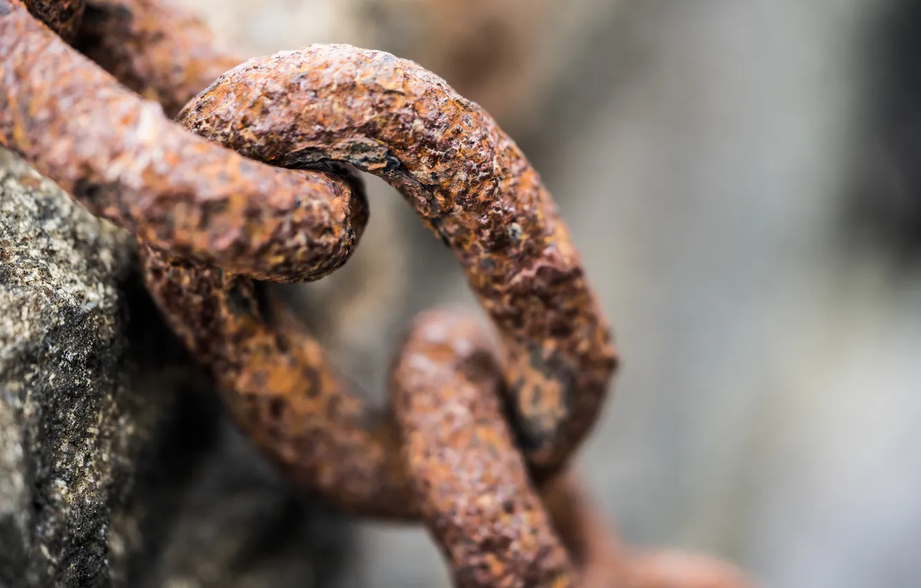 Фото обои rust, chain, link
