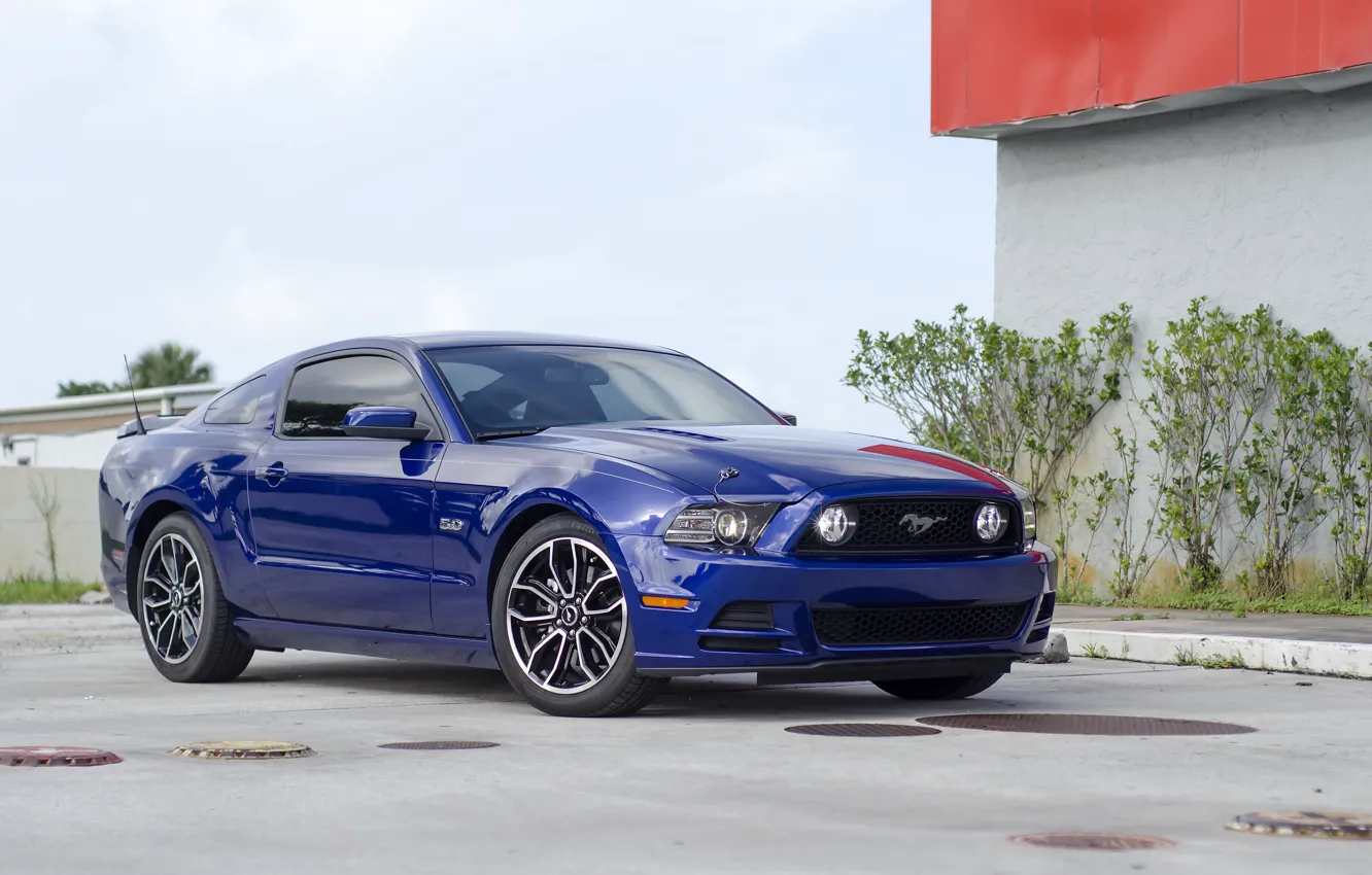 Фото обои Mustang, blue, 5.0, 2013