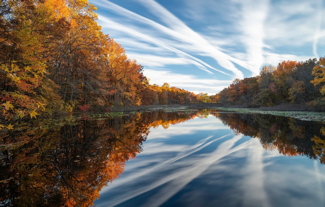 Фото обои осень, лес, небо, деревья, озеро, отражение