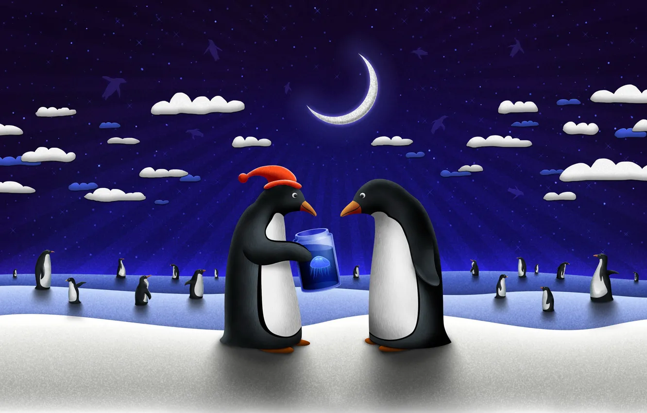 Фото обои подарок, новый год, медуза, Пингвины
