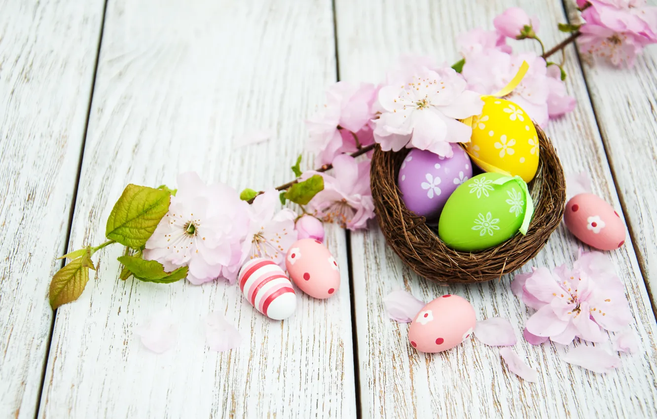 Фото обои цветы, яйца, весна, colorful, Пасха, happy, wood, pink