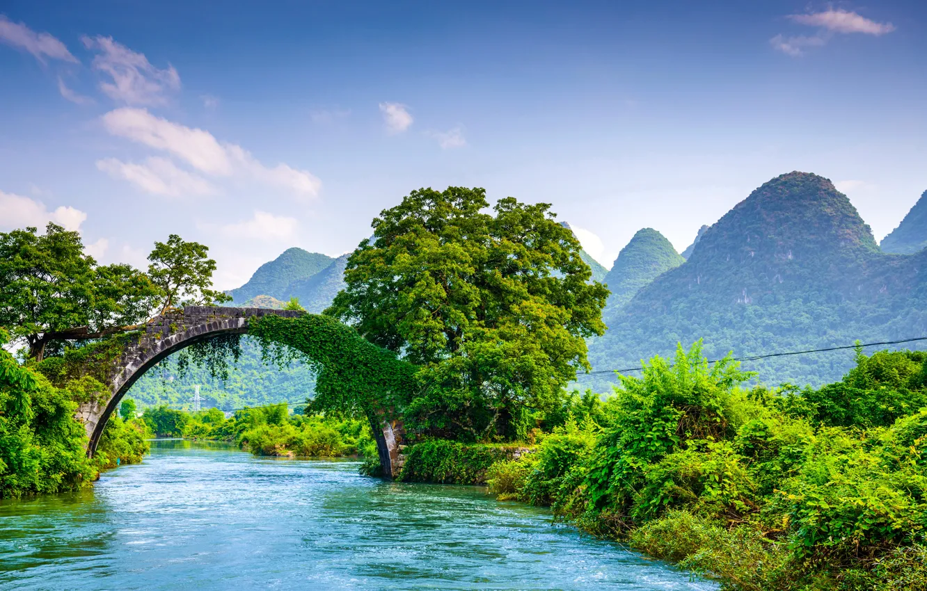 Фото обои зелень, лес, деревья, горы, мост, река, красота, Китай