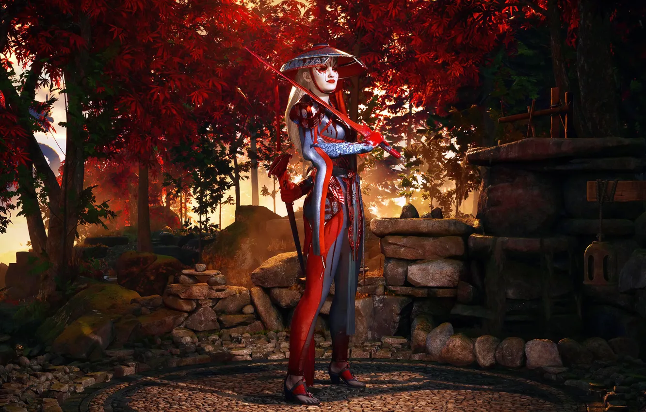 Фото обои sword, Mk1, combat, swordplay, Ashrah, Mortalkombat1