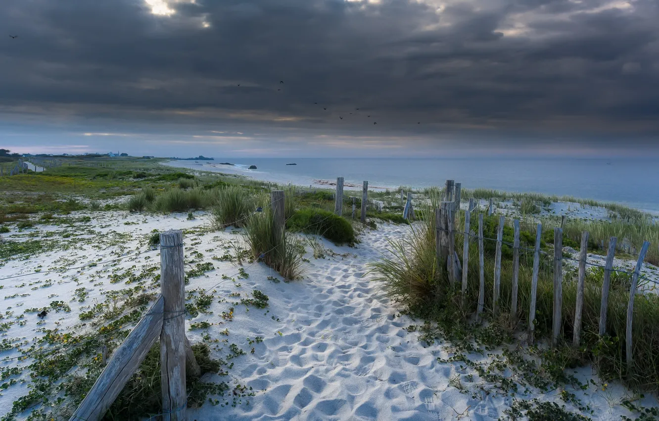 Фото обои море, пляж, берег