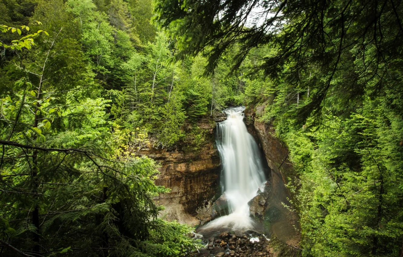 Фото обои лес, деревья, скала, ручей, камни, обрыв, водопад, США