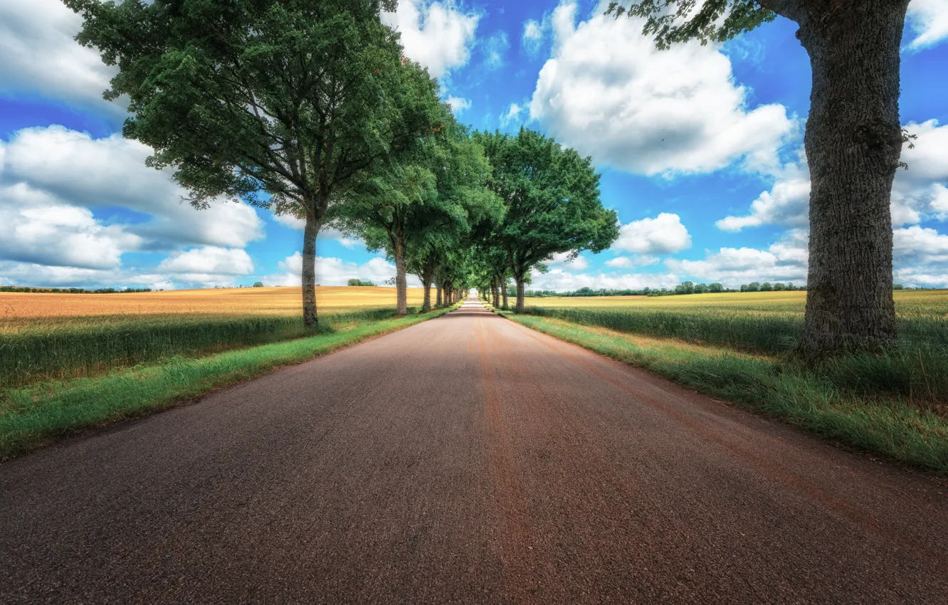 Фото обои дорога, поле, лето, трава, облака, деревья, синева, движение