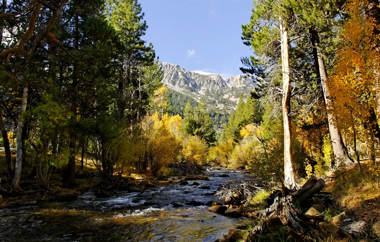 Фото обои вода, деревья, горы, природа, река, камни