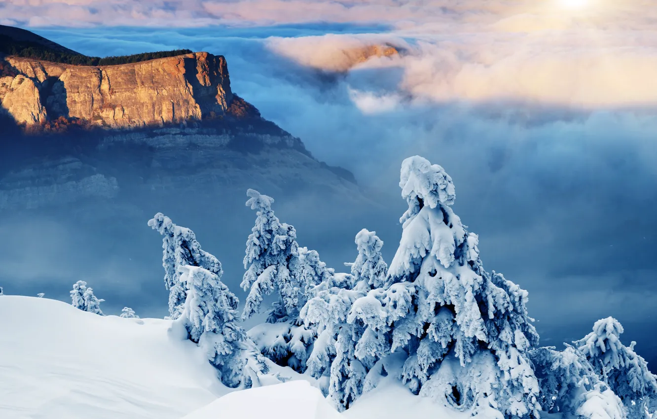 Фото обои зима, солнце, снег, горы, елки, landscape, winter, snow