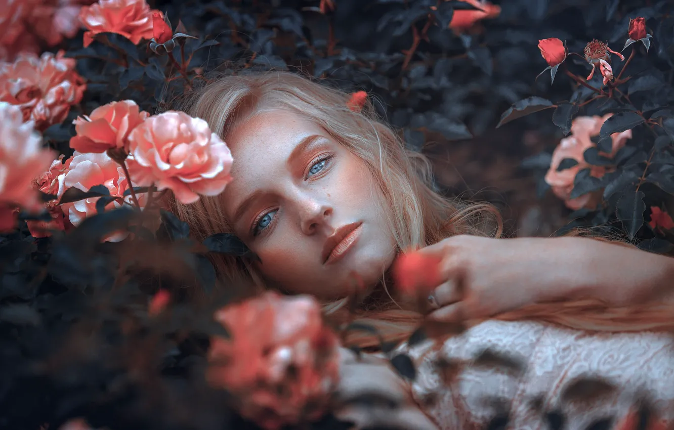 Фото обои взгляд, девушка, цветы, лицо, милашка