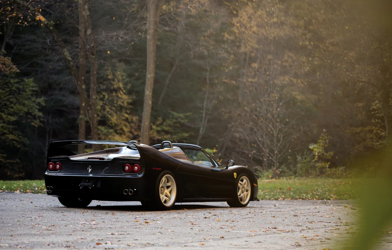 Фото обои Ferrari, спорткар, кабриолет, 1995, F50, Ferrari F50