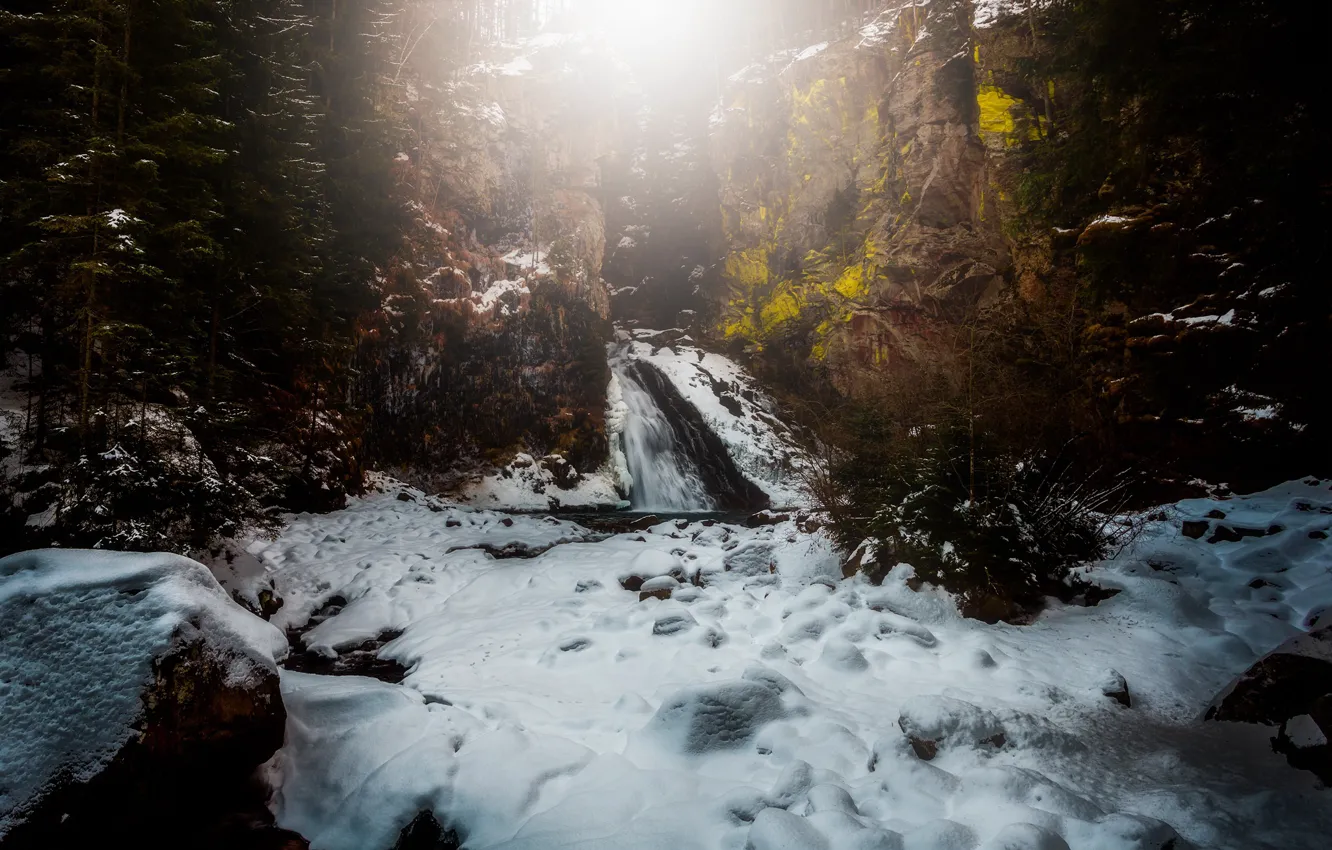 Фото обои зима, лес, река, водопад