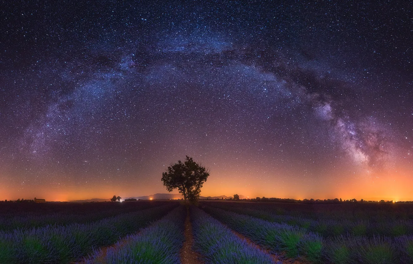 Фото обои поле, звезды, свет, цветы, ночь, дерево, млечный путь, лаванда